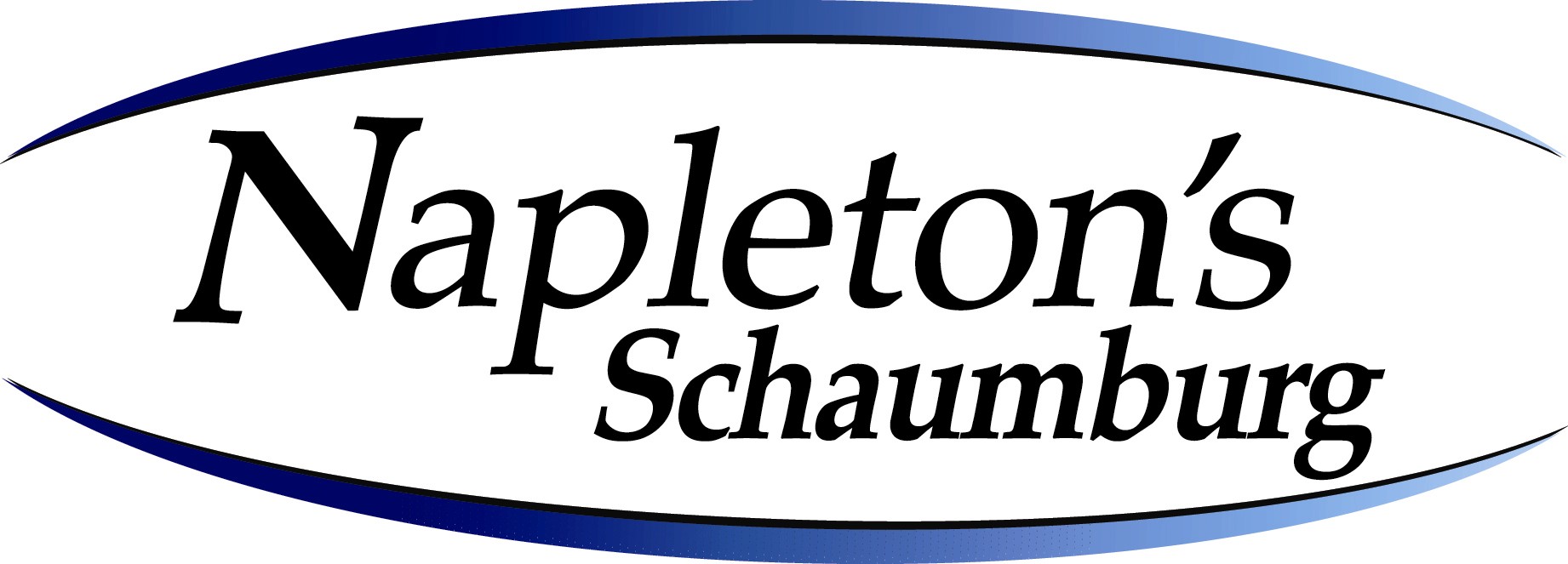 Napleton Schaumburg logo.jpg